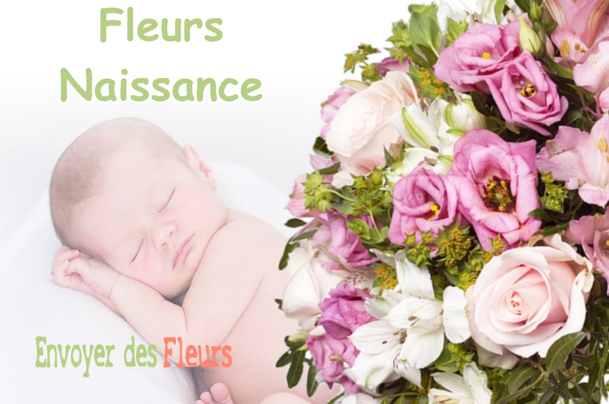 lIVRAISON FLEURS NAISSANCE à SAINT-MARTIN-VESUBIE